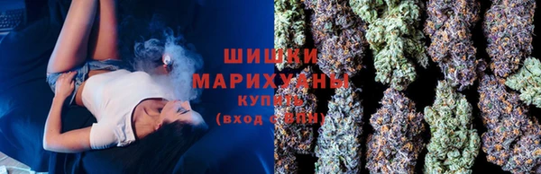 гидра Зуевка