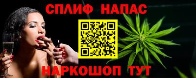 СК Волгодонск