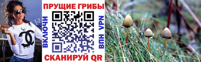 Галлюциногенные грибы GOLDEN TEACHER  OMG ссылки  Унеча 