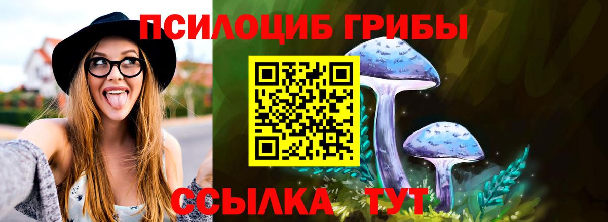 Галлюциногенные грибы мицелий  Вход с VPN  купить  сайты  Унеча 